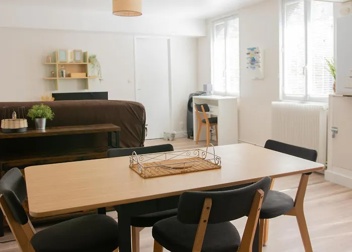 Bergerie Du Centre Ville - 1 Chambre, Equipement Bebe, Wifi Et Draps Inclus